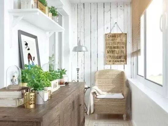 陽臺種什么植物比較好？植物風(fēng)水有哪些禁忌？