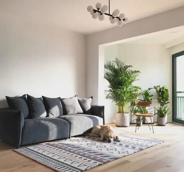 陽臺要不要裝推拉門？客廳和陽臺裝門與不裝門的優(yōu)缺點(diǎn)